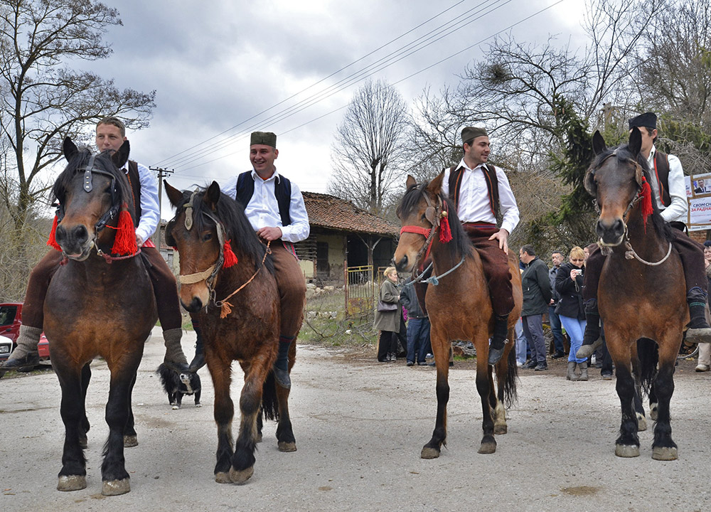 Babušnica