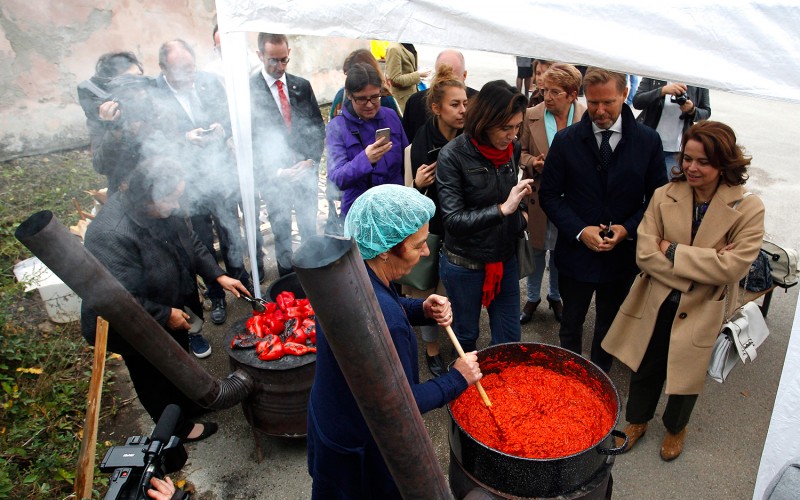 Konkretni primeri EU podrške Svilajncu, Paraćinu i Babušnici